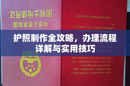 唐河护照制作全攻略，办理流程详解与实用技巧