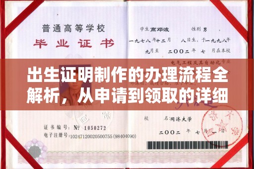 唐河出生证明制作的办理流程全解析，从申请到领取的详细指南