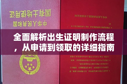 唐河全面解析出生证明制作流程，从申请到领取的详细指南