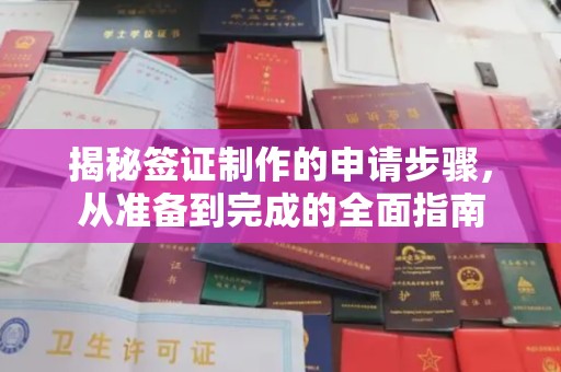 唐河揭秘签证制作的申请步骤，从准备到完成的全面指南