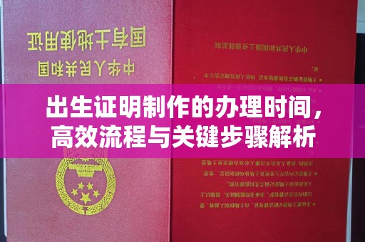 唐河出生证明制作的办理时间，高效流程与关键步骤解析
