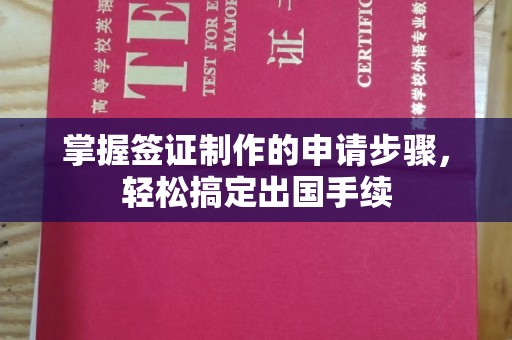唐河掌握签证制作的申请步骤，轻松搞定出国手续