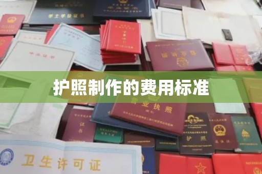 唐河护照制作的费用标准
