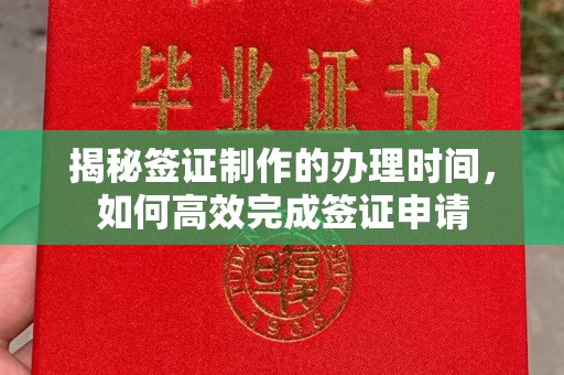 唐河揭秘签证制作的办理时间，如何高效完成签证申请