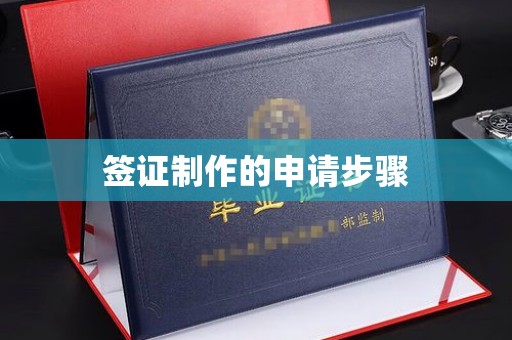 唐河签证制作的申请步骤