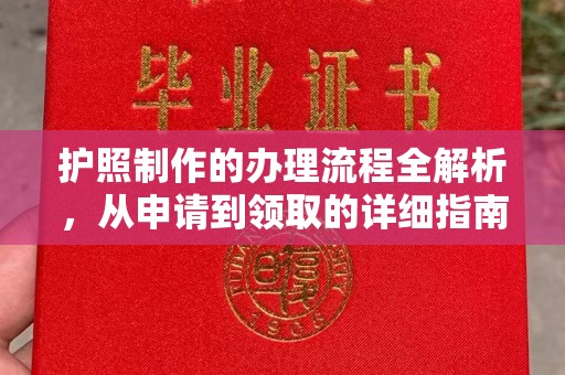 唐河护照制作的办理流程全解析，从申请到领取的详细指南