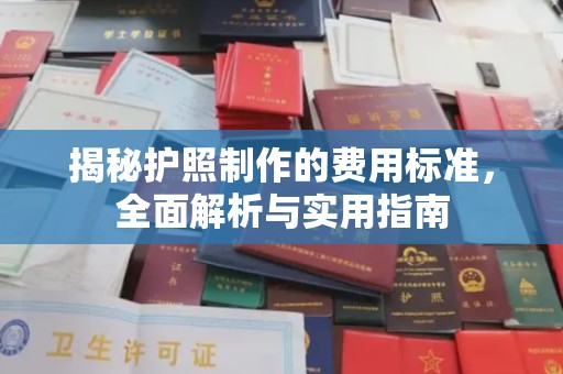 唐河揭秘护照制作的费用标准，全面解析与实用指南