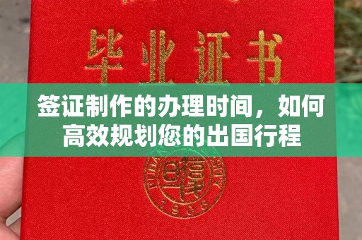 唐河签证制作的办理时间，如何高效规划您的出国行程