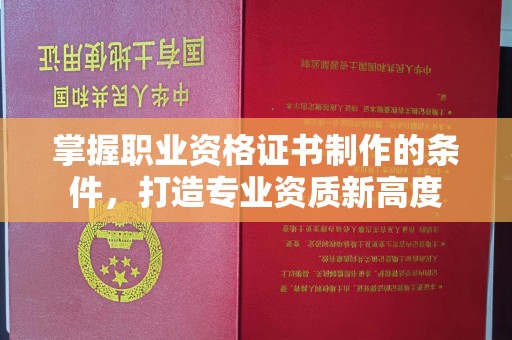 唐河掌握职业资格证书制作的条件，打造专业资质新高度