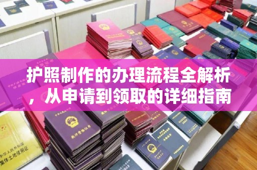 唐河护照制作的办理流程全解析，从申请到领取的详细指南
