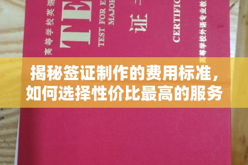唐河揭秘签证制作的费用标准，如何选择性价比最高的服务？