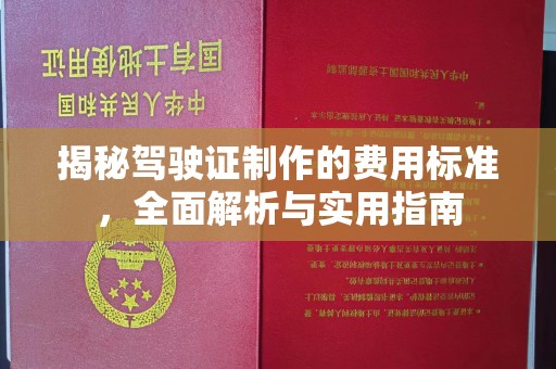 唐河揭秘驾驶证制作的费用标准，全面解析与实用指南