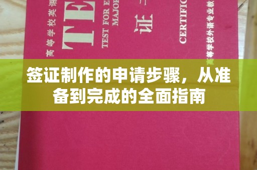 唐河签证制作的申请步骤，从准备到完成的全面指南