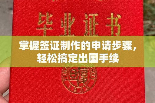 唐河掌握签证制作的申请步骤，轻松搞定出国手续