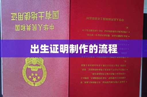 唐河出生证明制作的流程